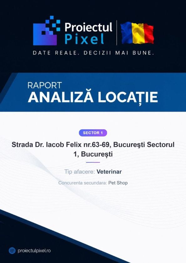 Raport exemplu — pagina 1